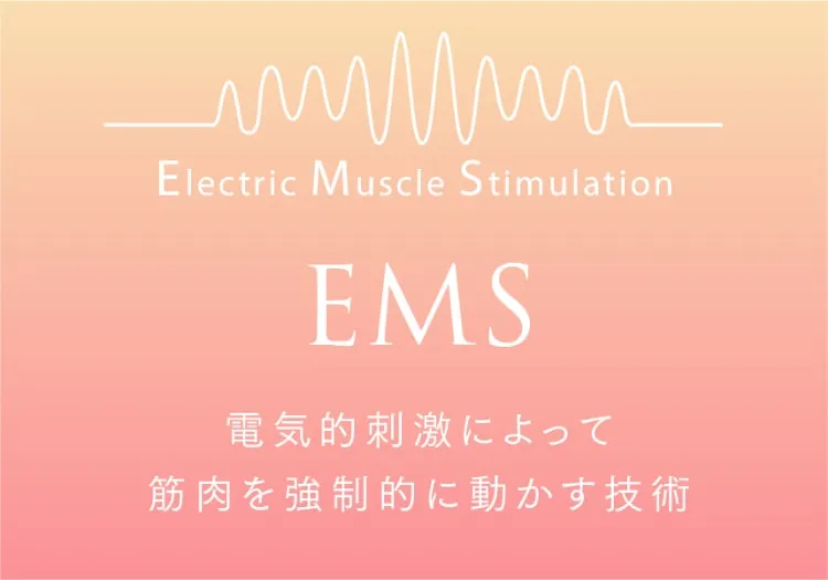 Electric Muscle Stimulation 電気的刺激によって筋肉を強制的に動かす技術